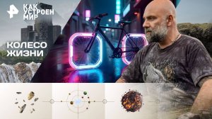 Колесо жизни — Как устроен мир с Тимофеем Баженовым (29.09.2025)
