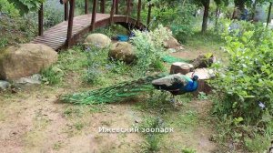 Поездка в Ижевск летом 24 года