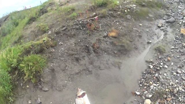 Первый харек)