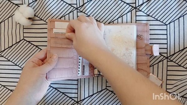 VDS stardust | sakura | archive | 3