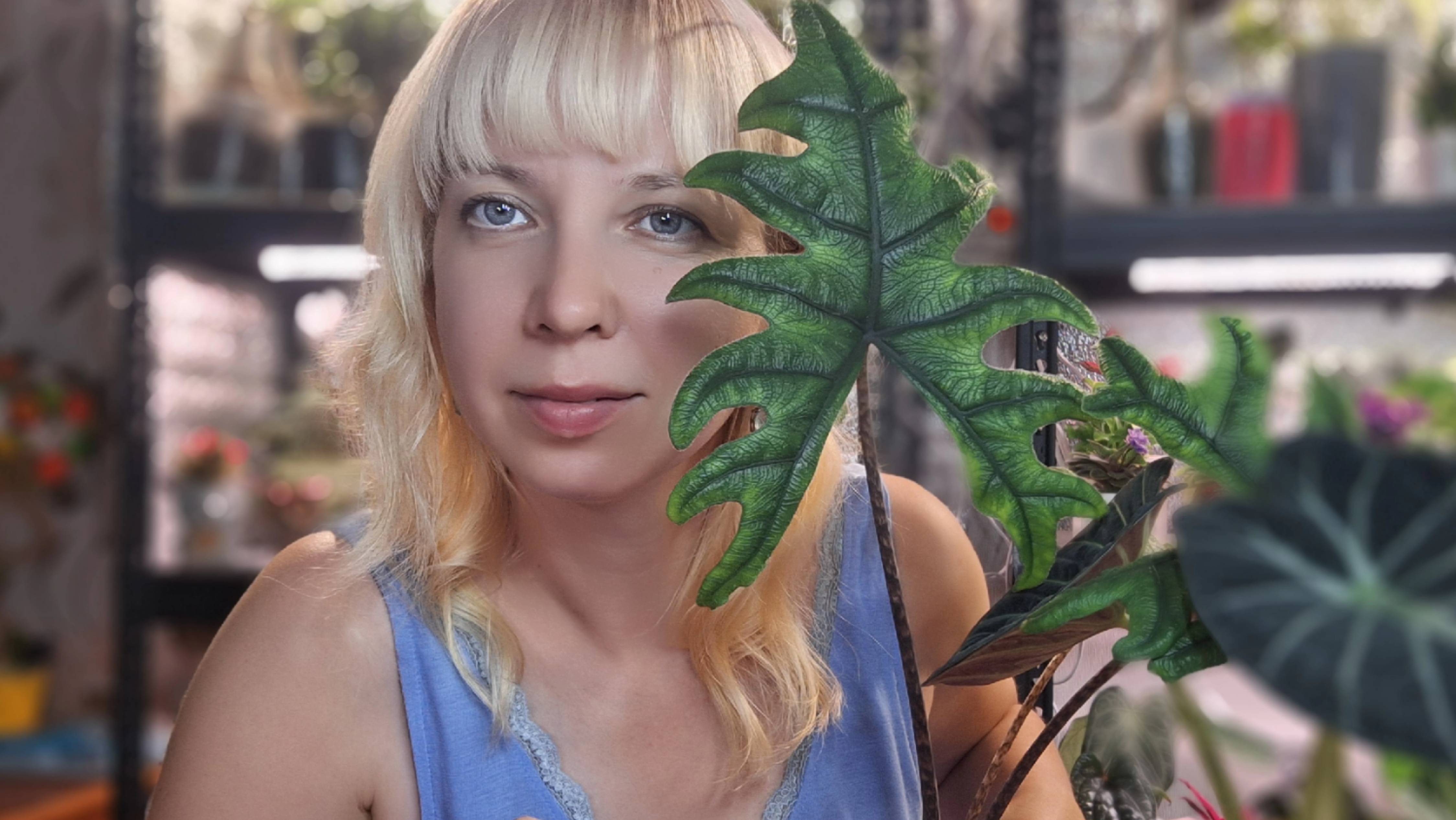 Как прошёл цветочный своп и маркет, моя новиночка, пересадка алоказий смотреть онлайн