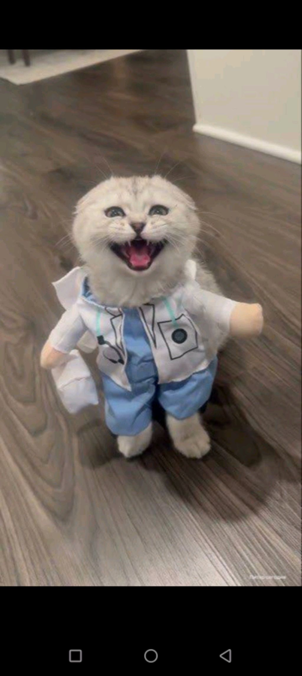 уроки смотреть онлайн