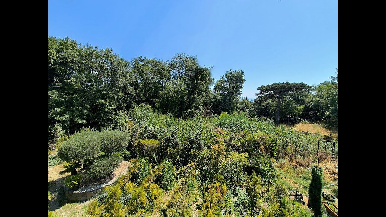 Обзор земельного участка на продажу в Кореизе смотреть онлайн