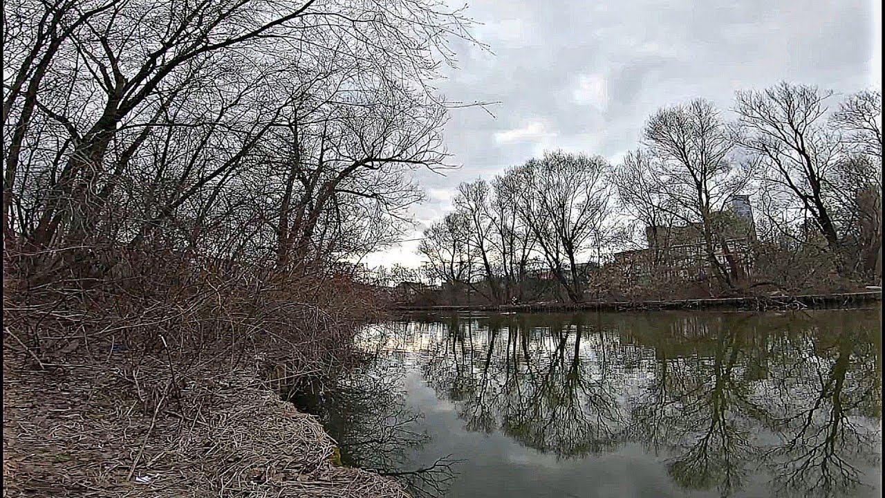 Ловим КАРАСЯ На ПОПЛАВОК.Уровень Упал.АКТИВИРОВАЛИСЬ КЛЕЩИ!!!! смотреть онлайн