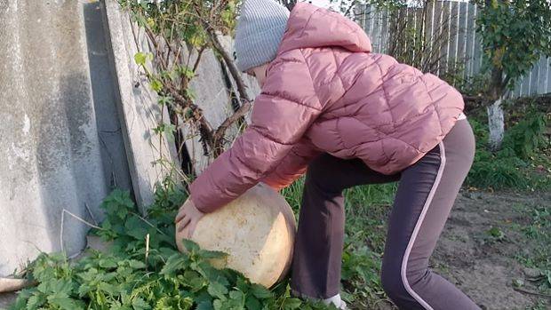 супер ягода