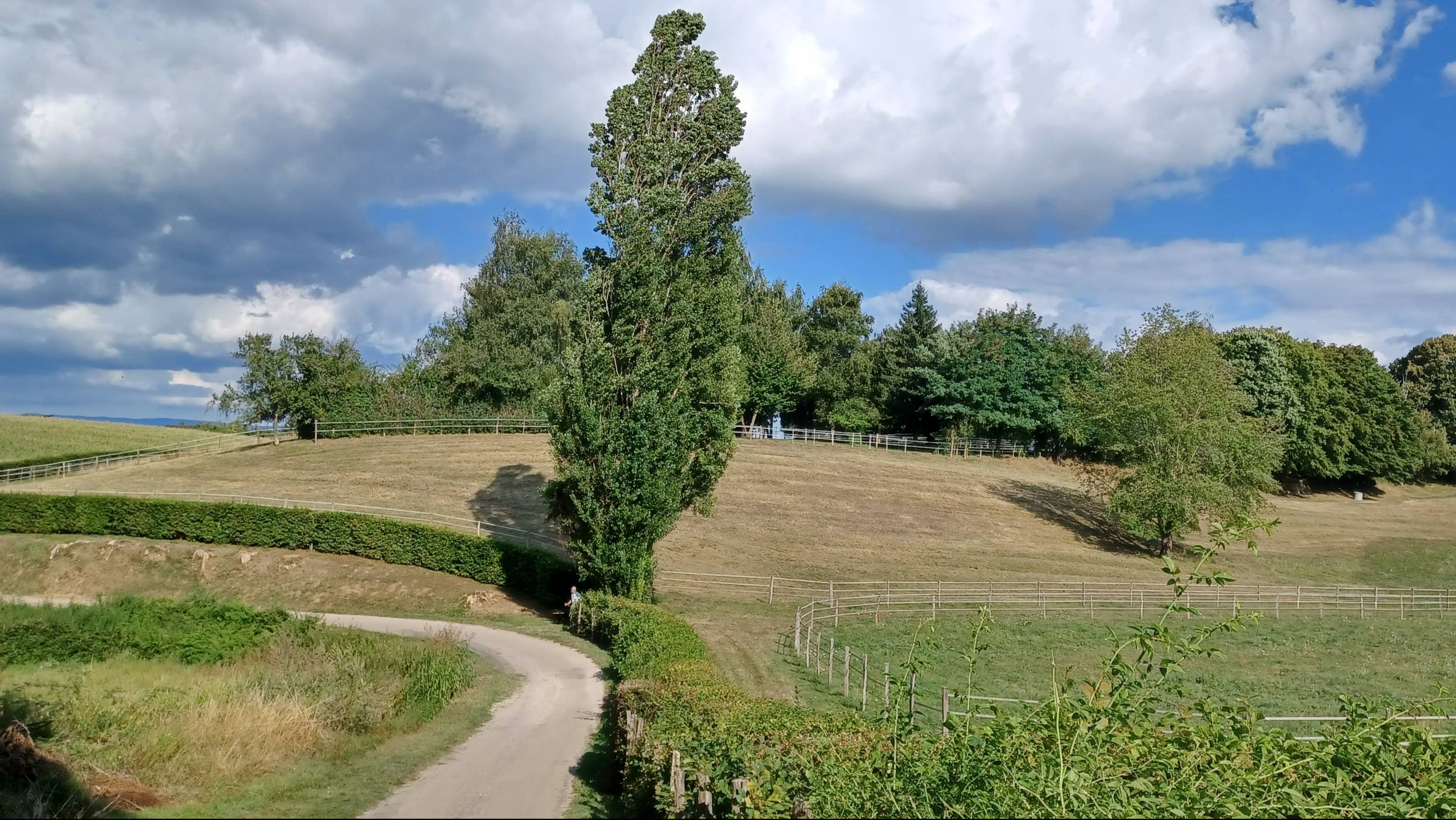 Оh Souvenirs D'été . Воспоминания о лете. Виктор Карасенко