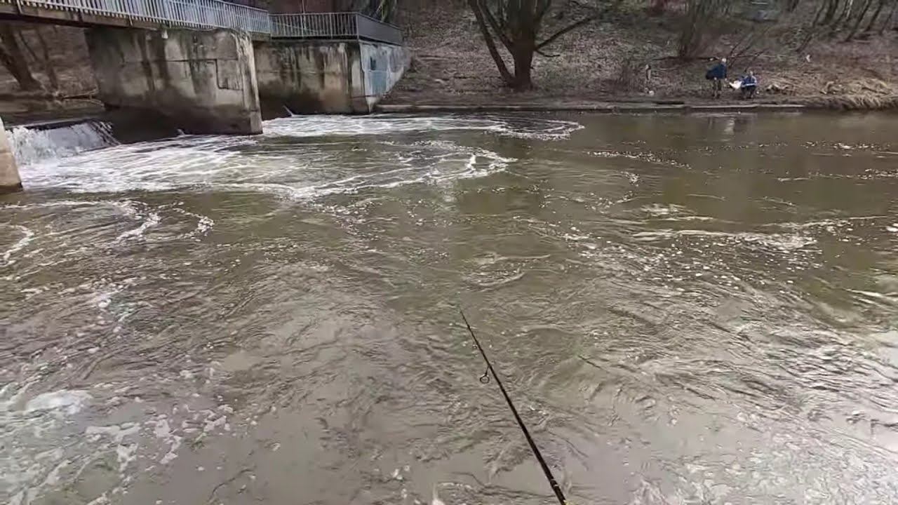 ВЕСЕННИЙ МОРМЫШИНГ 2023.#мормоны#мормышинг#рыбалка смотреть онлайн