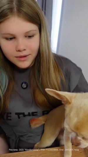 КРАФТЕРЫ☺️ #общор #распаковка #чихуахуа #вкусняшки #сюрприз