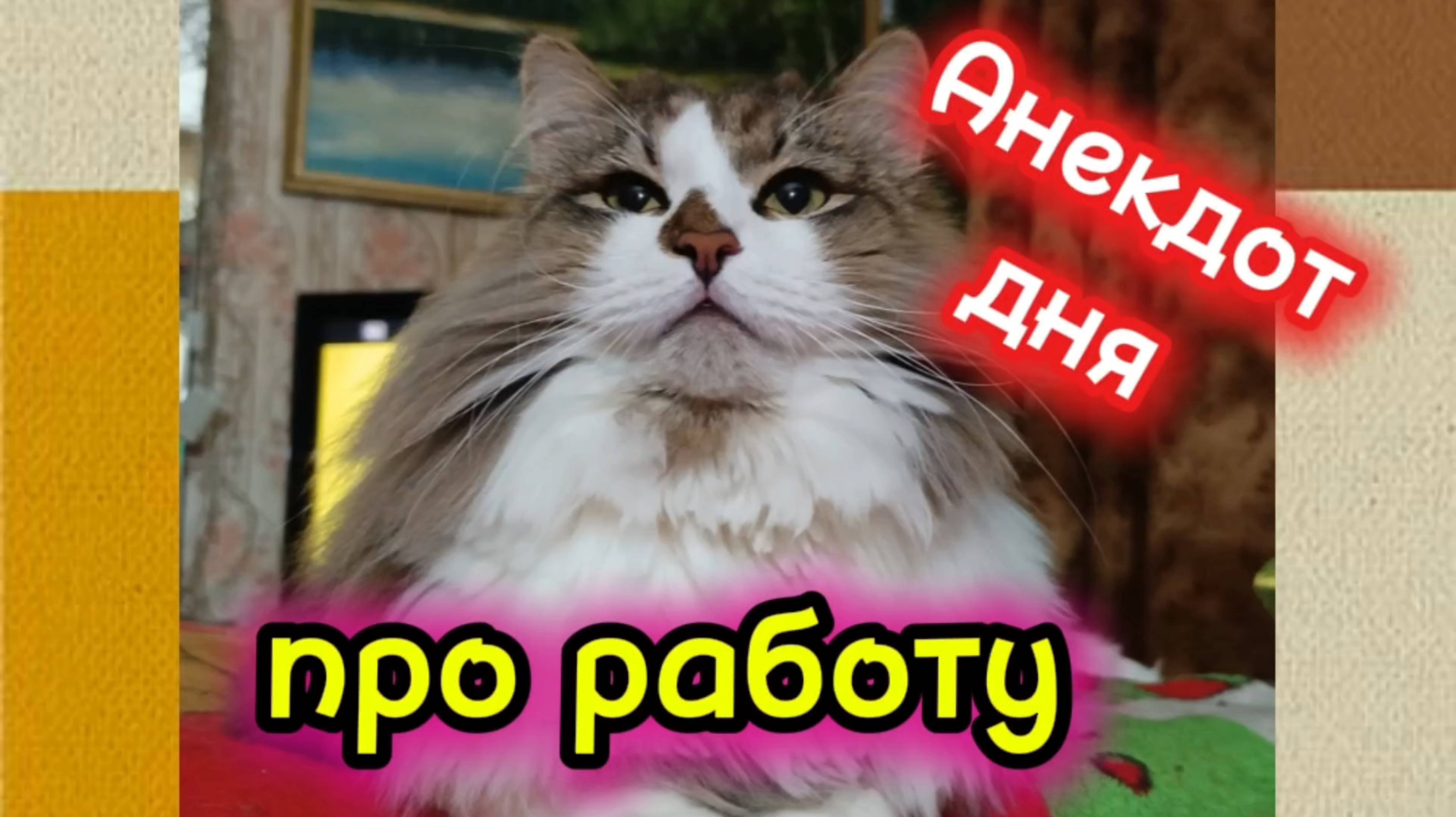 Анекдот дня . Про работу. смотреть онлайн