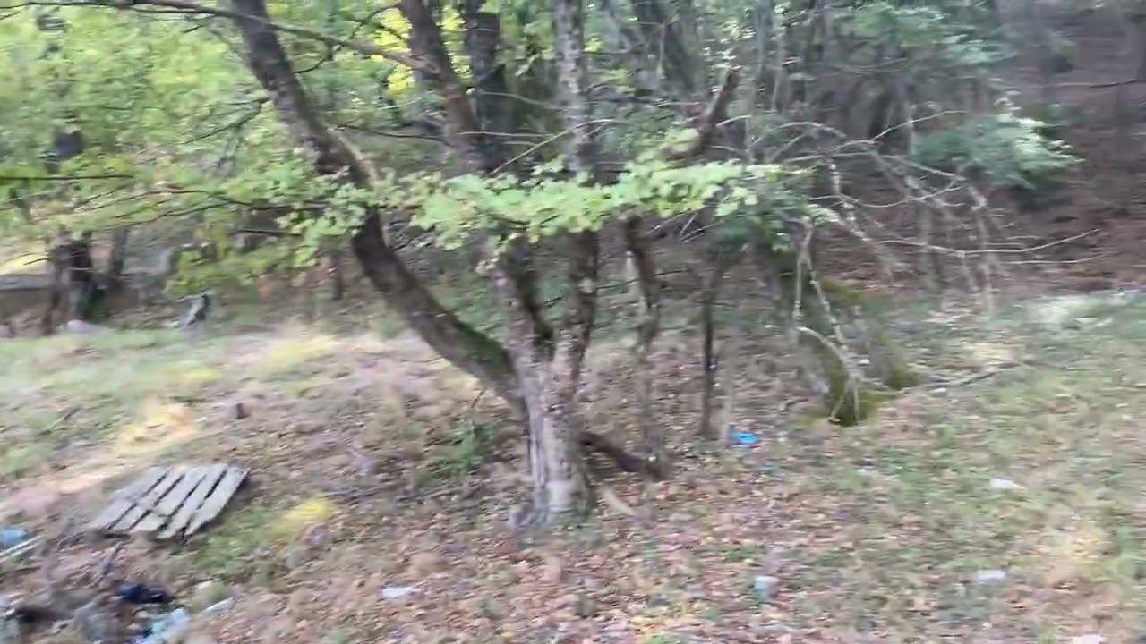 Обзор земельного участка 10 соток на продажу в Ялте район Акватории смотреть онлайн