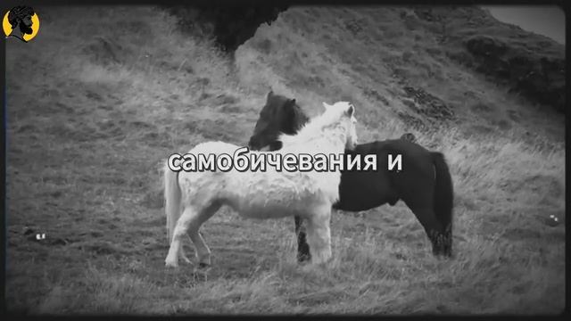 (58 УРОК) Как завоевать любую женщину (даже если она на расстоянии) Стоицизм смотреть онлайн