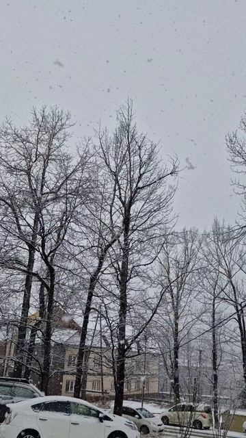 Сильный снегопад в Алдане! 29 сентября 2025 года смотреть онлайн