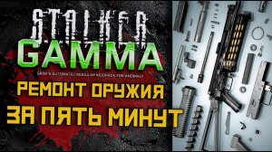 Как починить оружие за 5 минут — Stalker Anomaly GAMMA | Гайд
