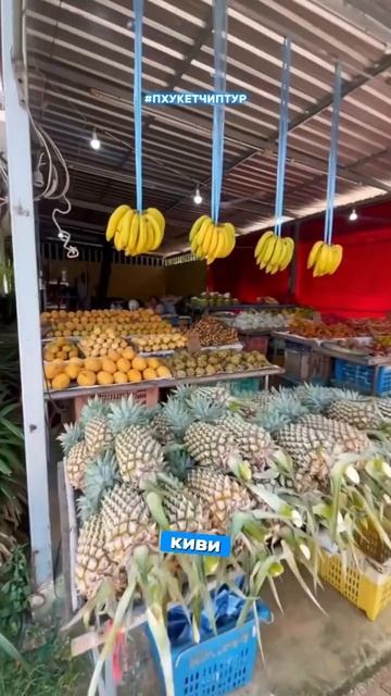 Лёгкий, сочный и освежающий! ✨ Кто уже пробовал? #пхукет #таиланд #тайскиефрукты смотреть онлайн