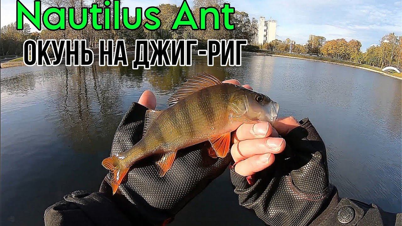 Nautilus Ant и Оснастка Джиг-Риг на Парке Дружбы. смотреть онлайн
