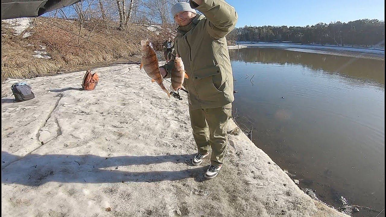 Окуни На Нано-Джиг.Жесть Как Много Мертвой Рыбы!!!#наноджиг#микроджиг#мормышинг смотреть онлайн