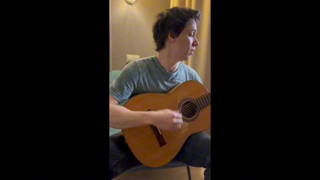 Басин Игорь_визитка_вокал и гитара