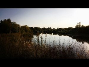 Спиннинг На Реке.Злые Шнурсоны На Микроджиг.#fishing#микроджиг#рыбалка