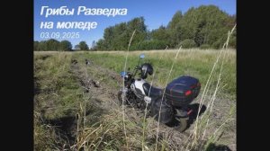 Грибы Разведка на мопеде 2025