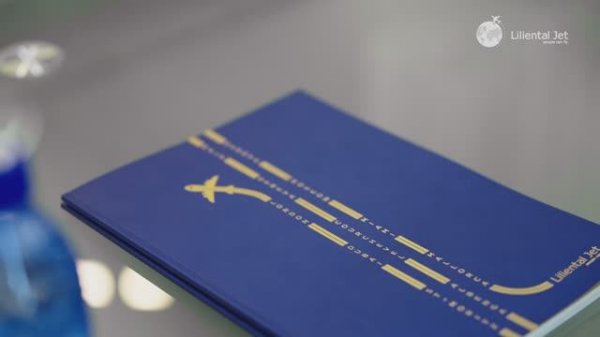 Работа в Liliental jet