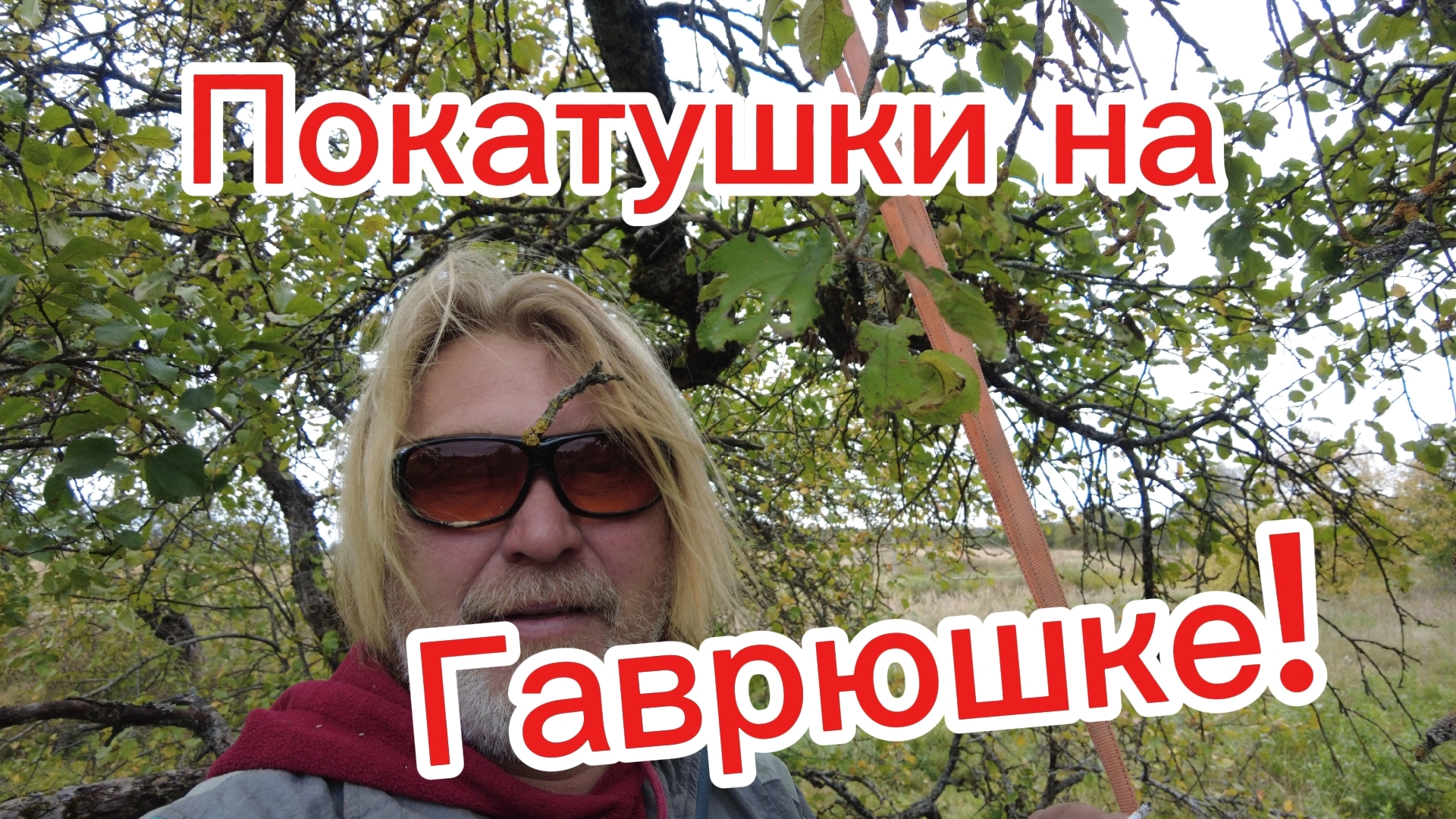 Покатушки! Грибов уже нет, но яблок натрясли! смотреть онлайн