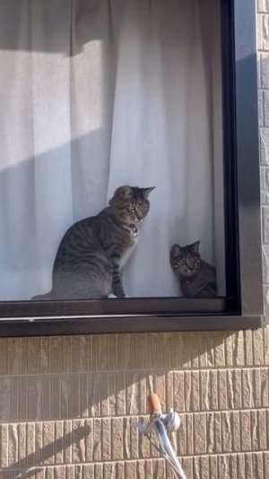 Уйди, не позорься