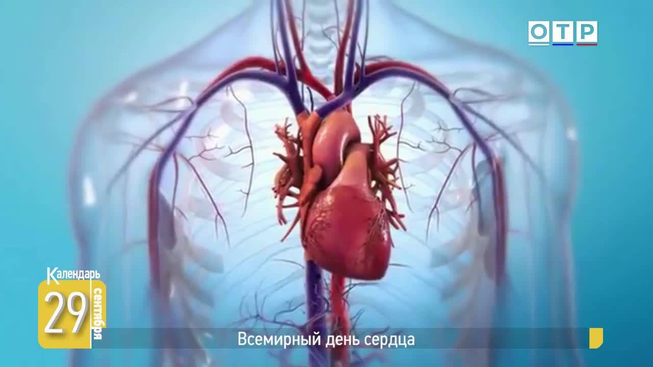 Всемирный день сердца смотреть онлайн