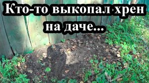 Кто-то выкопал хрен. Скосил газон