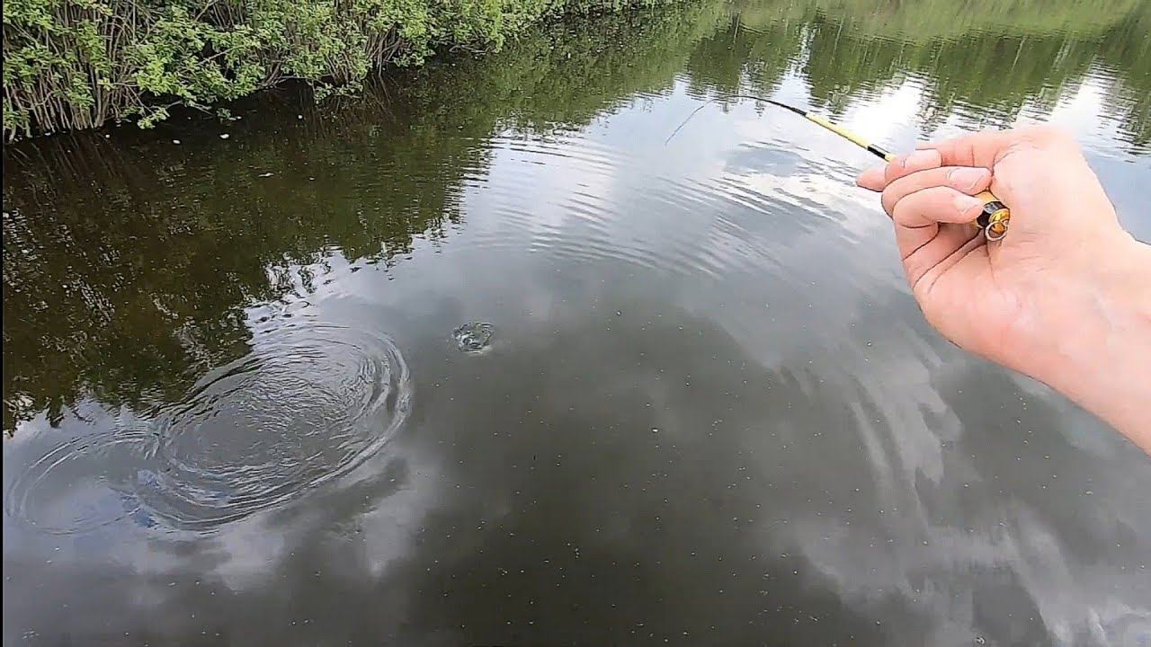 Ловля Карася на Пруду.Микрофишинг смотреть онлайн