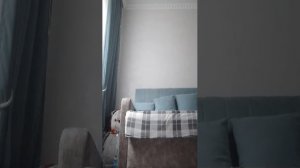 просто трансляция