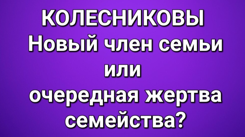 СТЕЛЛА НОРД