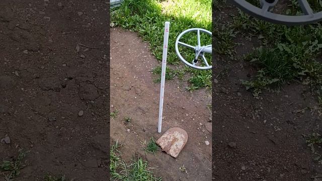 Clon PW импульсный металлоискатель.