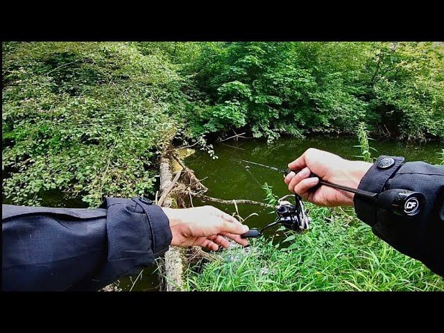 МОРМЫШИНГ НА МЕЛКОВОДЬЕ-"ОКУНЕВОЕ ЭЛЬДОРАДО"#fishing#мормышинг#рыбалка смотреть онлайн