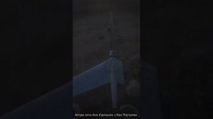 Алла Корнишина И Вера Мартынова-Заупокойная врагам (СВО)