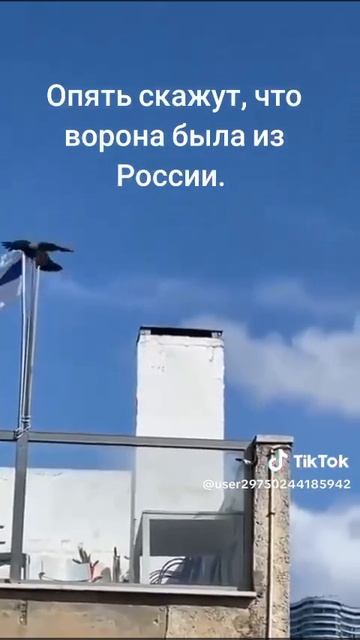 Чтобы это могло значить? Сигнал от Небесной канцелярии? смотреть онлайн