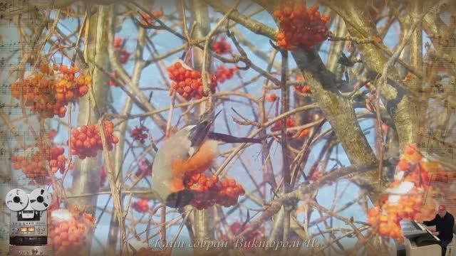 «Снегири»Сергей Трофимов (Трофим) смотреть онлайн