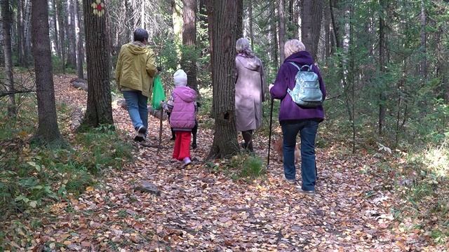 2025_09_29_Анонс праздника на Васильховой экотропе смотреть онлайн