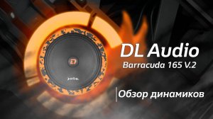 Обзор на Barracuda 165 V.2 от DL Audio
