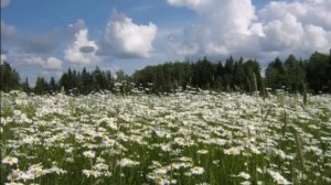 «Россия моя, ты моя Родина»