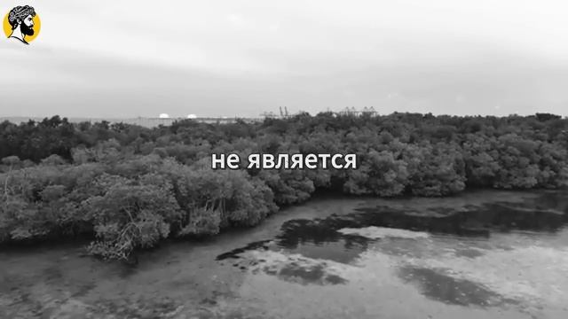 (59 УРОК) Как женщины по-настоящему влюбляются — обязательно к просмотру всем мужчинам СТОИЦИЗМ смотреть онлайн