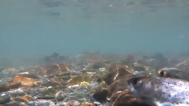 Очень красиво, смотреть всем) смотреть онлайн