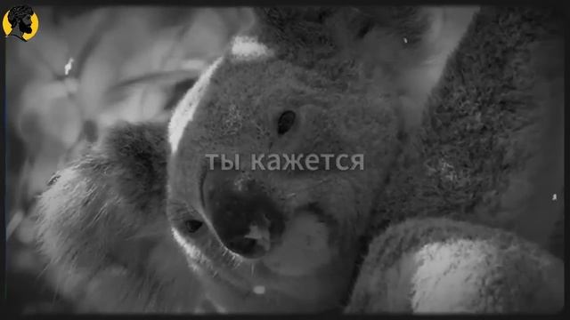 (45 УРОК) Её молчаливые сигналы 7 способов показать, что она хочет тебя СТОИЦИЗМ смотреть онлайн