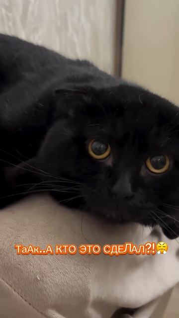 AQNJkBD_xr4qR8Ig6VJ_1ba4xcUQWQKvWPEPVJJEqU4wREeqnWHN5mPOX3eSexCFNcoREYV89RSVxAb9FQPNd2cRITl79lwmUiig