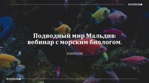 Подводный мир Мальдив: вебинар с морским биологом от туроператора PANTEON