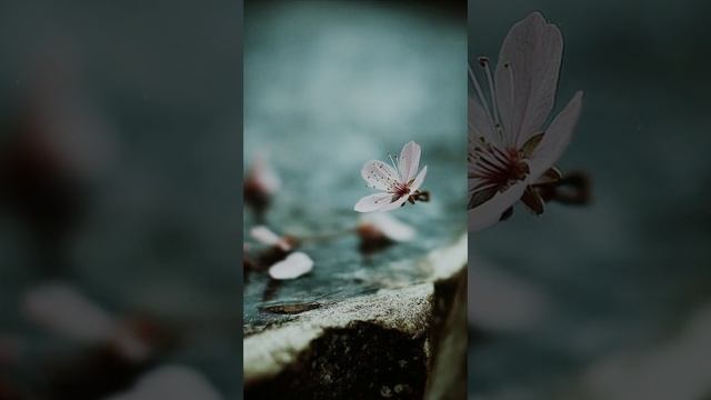 Ты пожалеешь, знаю я