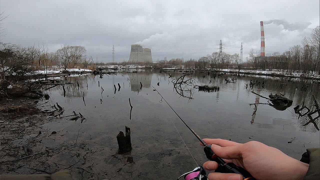 Зимний Мормышинг.Щука в "Затопленном Лесу". смотреть онлайн