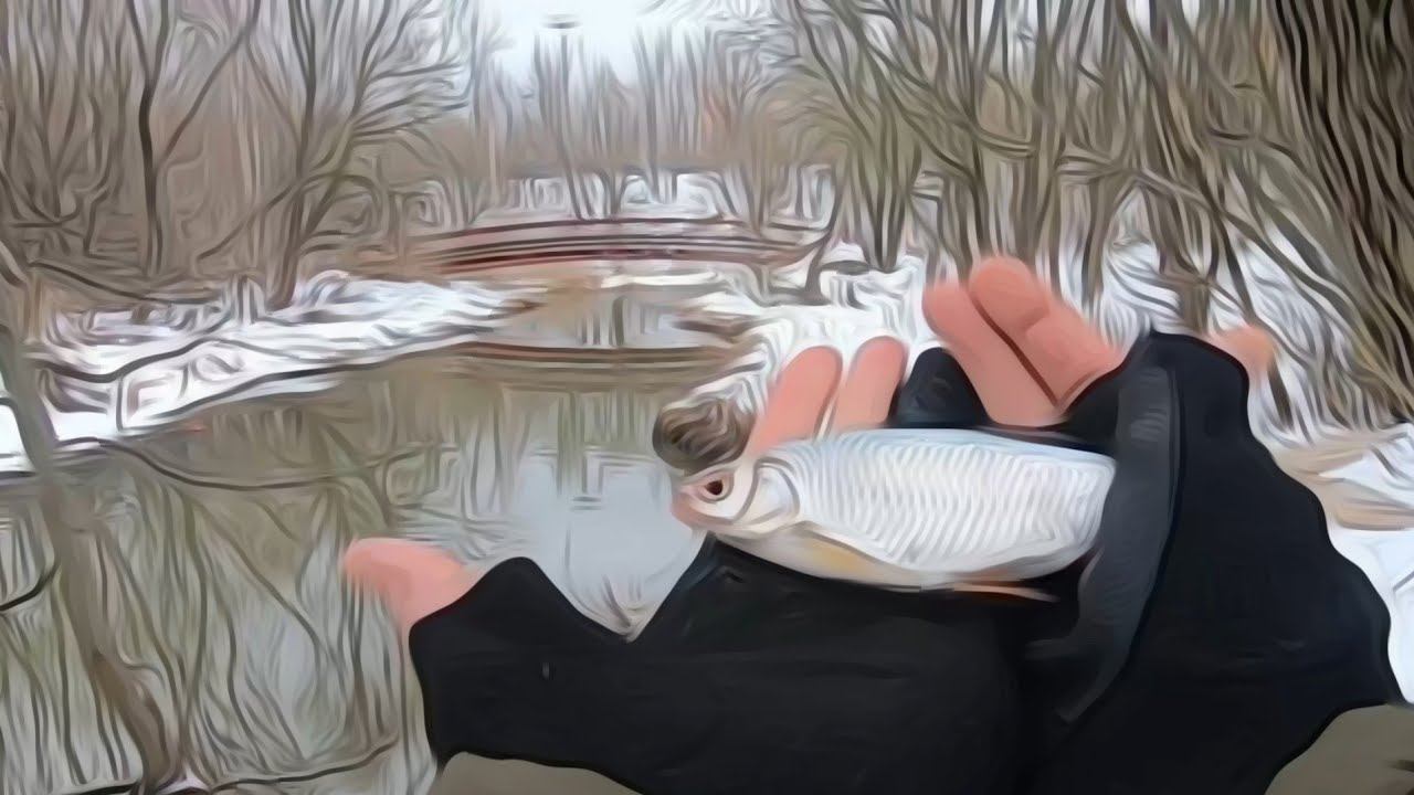 "РЕВАНШ"на Яузе.Зимняя Плотва.#мормышинг #мормоны #рыбалка #плотва смотреть онлайн