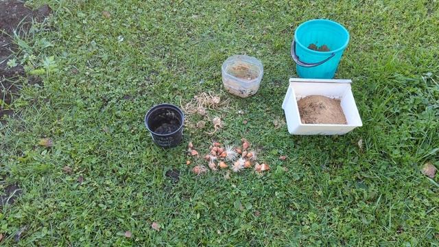 04-10-2025.Дача.Освобождаю последние кашпо.Сажаю тюльпаны и варю компот))) смотреть онлайн