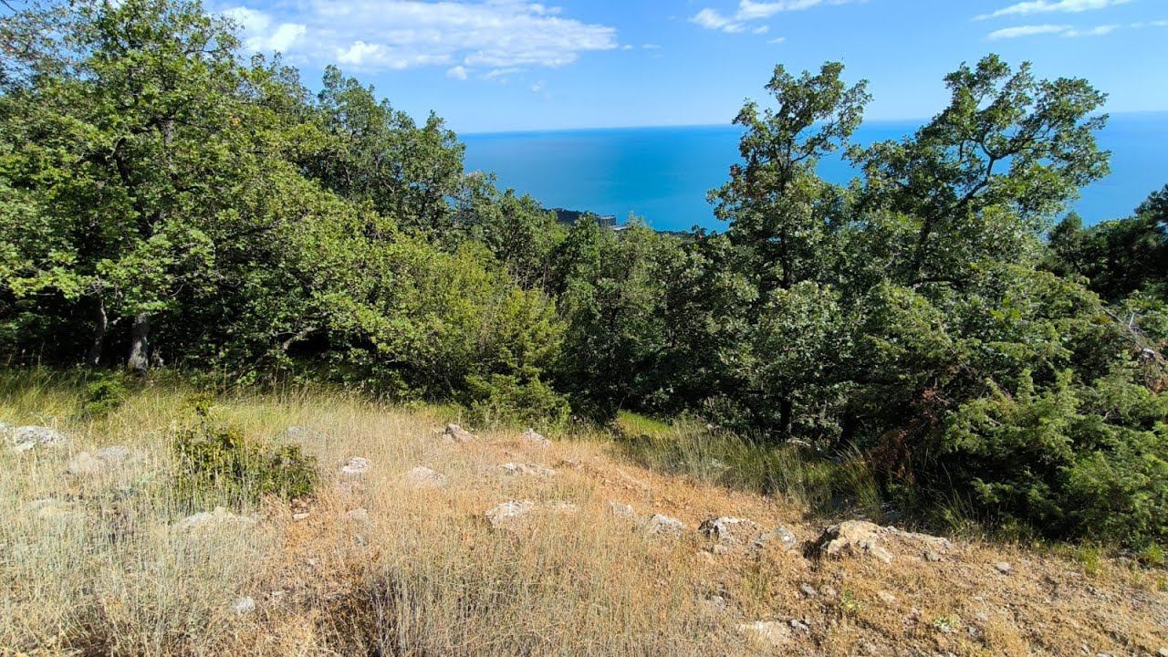 Обзор земельного участка на продажу в Гаспре, пгт. Стройгородок смотреть онлайн