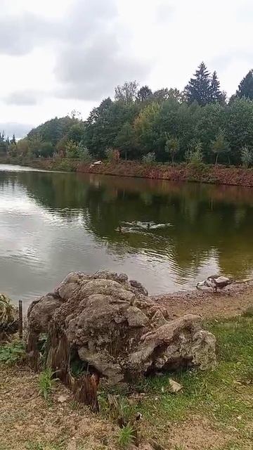 Утиный пляж